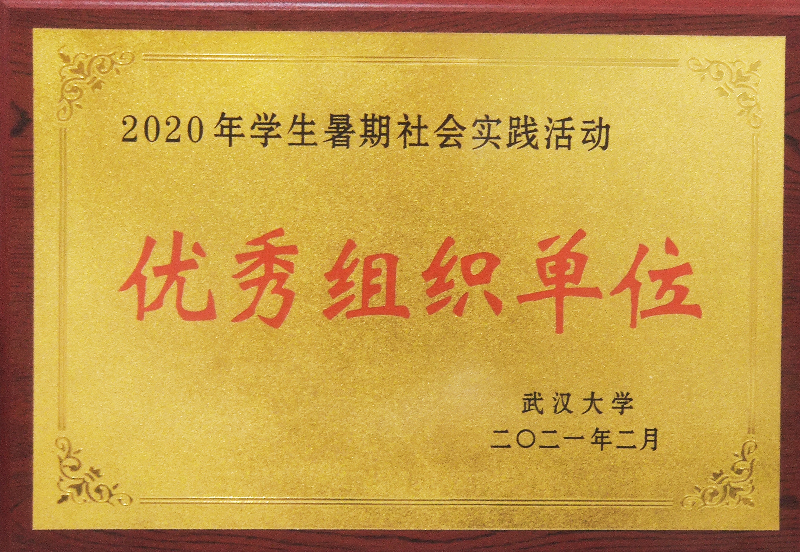 媒体链接 | 91直播
获评2020年暑期社会实践活动优秀组织单位